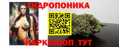 хмурый Бийск
