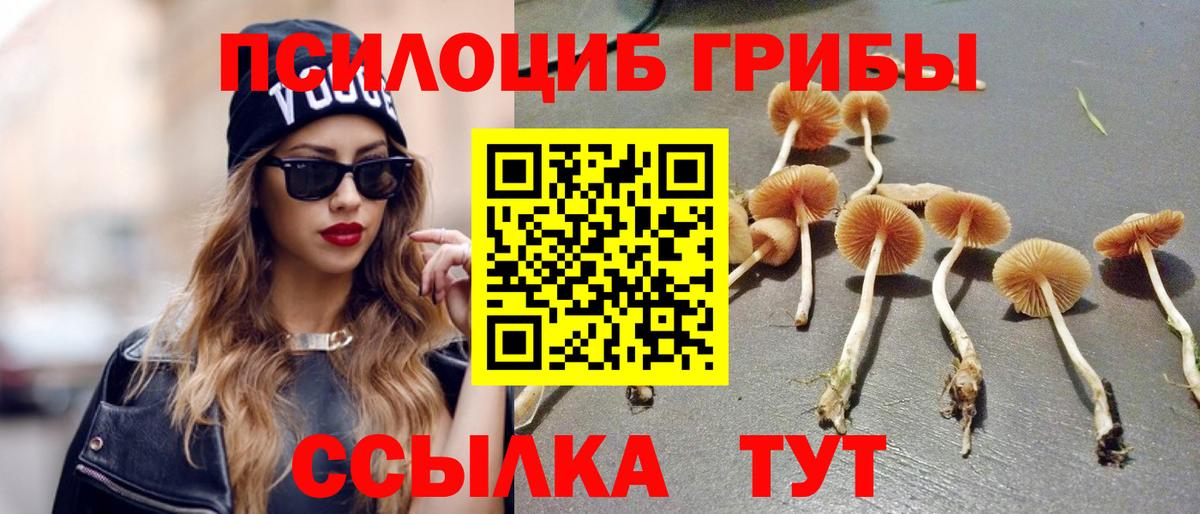 Дербент  Галлюциногенные грибы Cubensis  Вход с VPN 